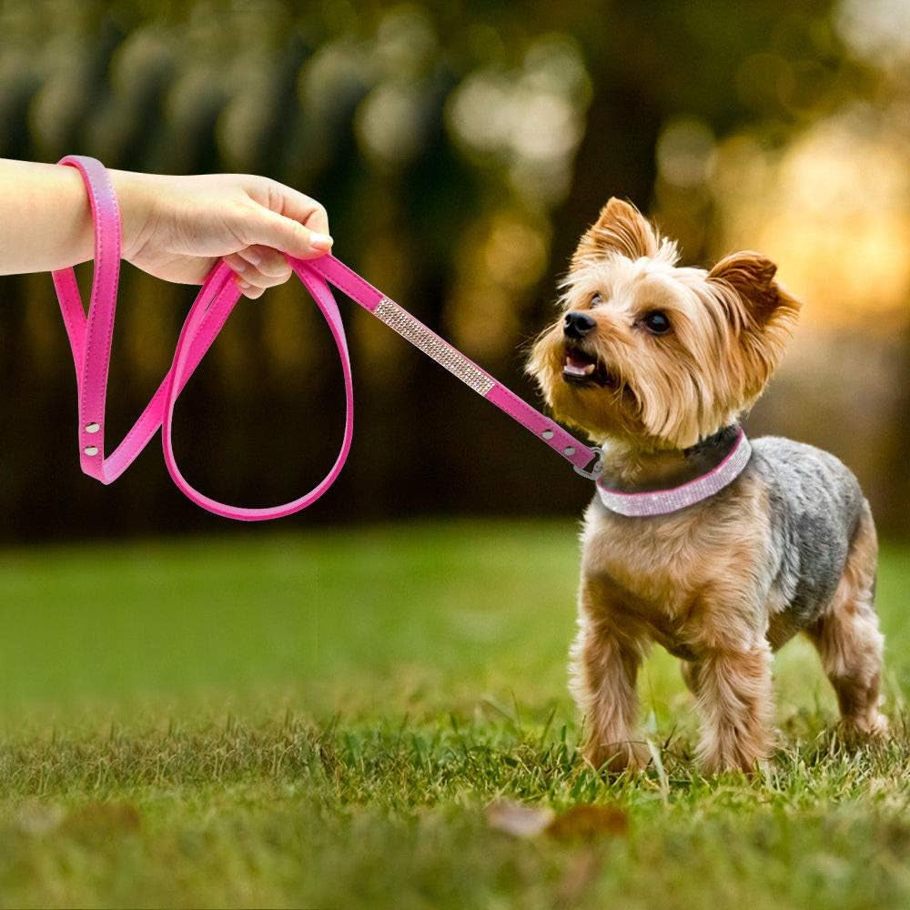 Cute Dazzling Sparkling Elegant Fancy Soft Suede Leather Bling Rhinestone Crystal Jeweled Pet Cat Dog Puppy Collar Dog Leash Combo Set