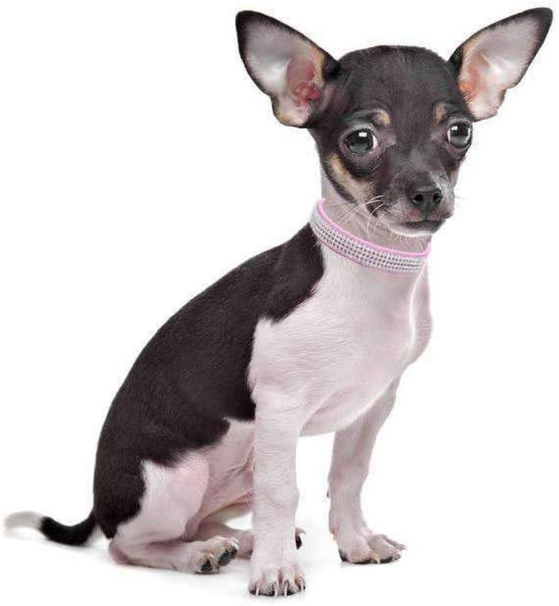 Cute Dazzling Sparkling Leather Dog Cat Rhinestone Collar Crystal Diamond Pet Dog Puppy Collar