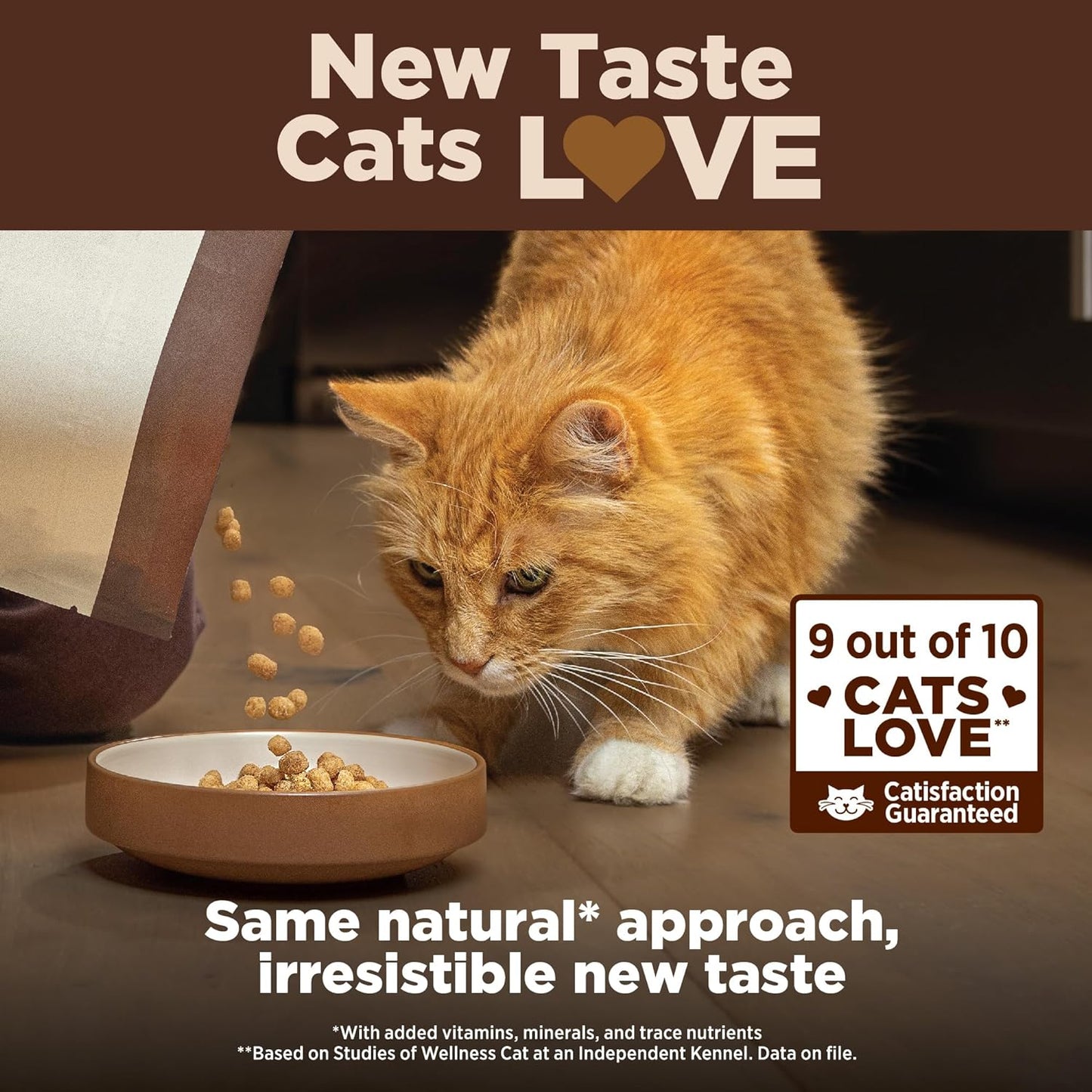 Wellness CORE Grain Free Dry Cat Food, High Protein Cat Food, Indoor, Chicken, Turkey & Chicken Meal, Natural, Made in USA, Cat Food, Adult
