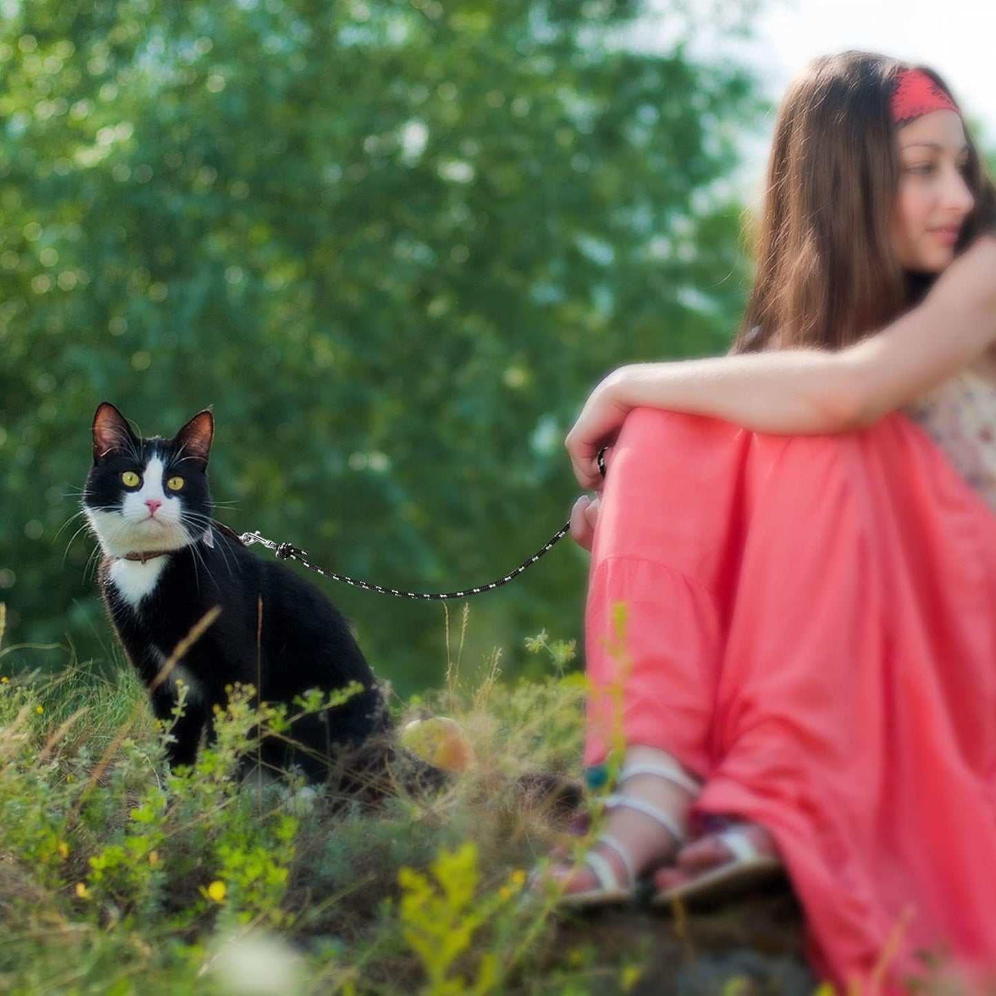 Reflective Cat Long Leash - 15 FT Escape Proof Walking Leads Yard Long Leash Durable Safe Personalized Extender Leash Traning Play Outdoor for Kitten, Puppy, Rabbit and Small Animals